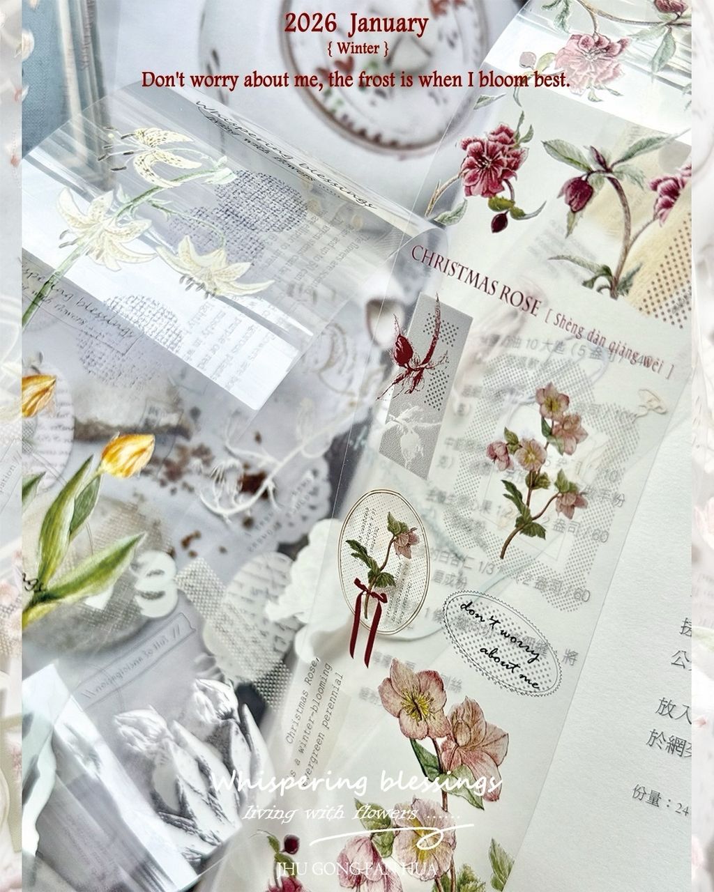 SaveClip.App_608363285_18108139135640780_2350633402308669769_n