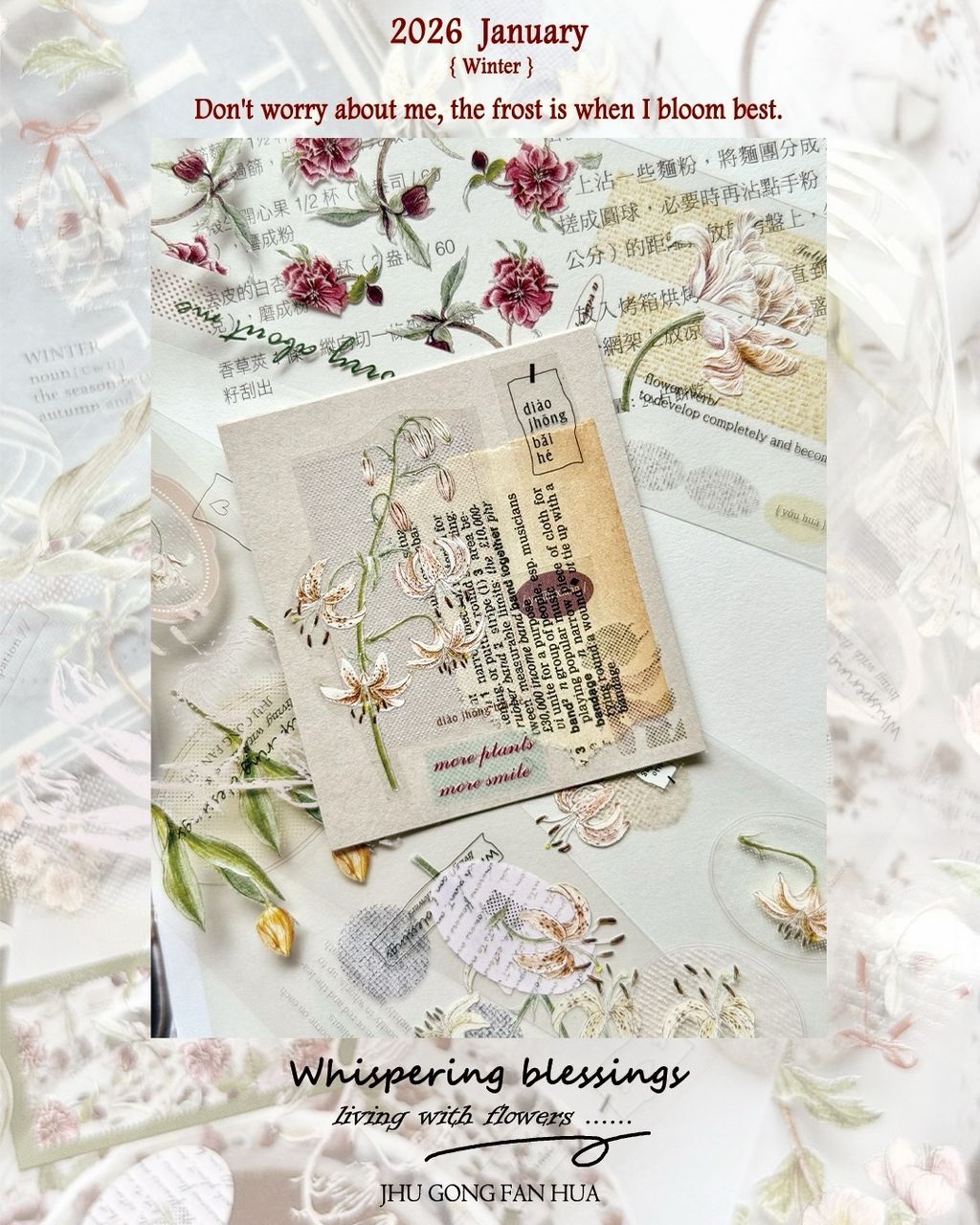 SaveClip.App_607503746_18108139192640780_8837002378892234502_n