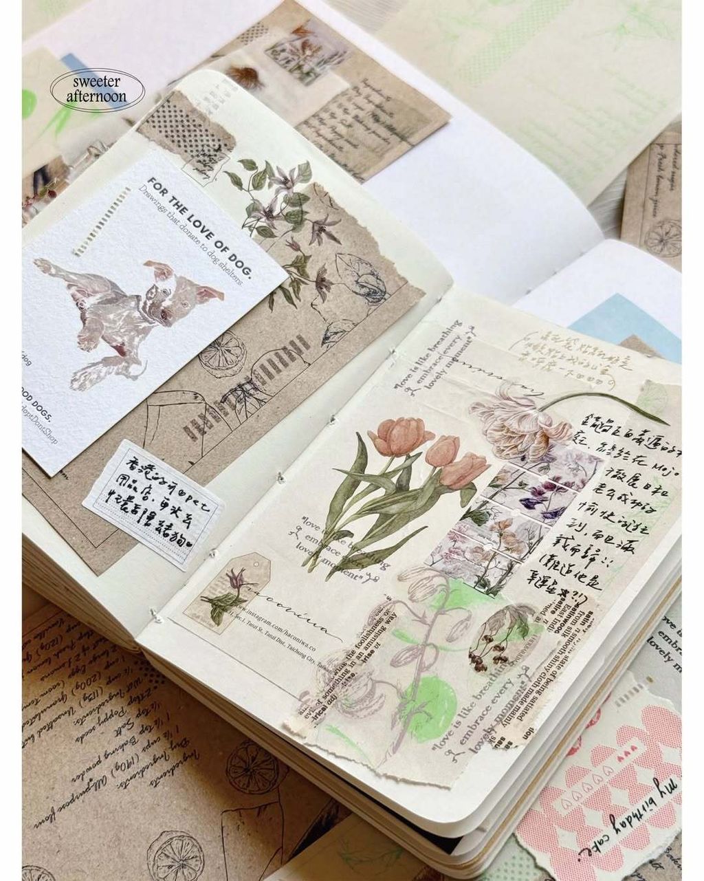 SaveClip.App_656536378_18116645911640780_8372309528265976581_n