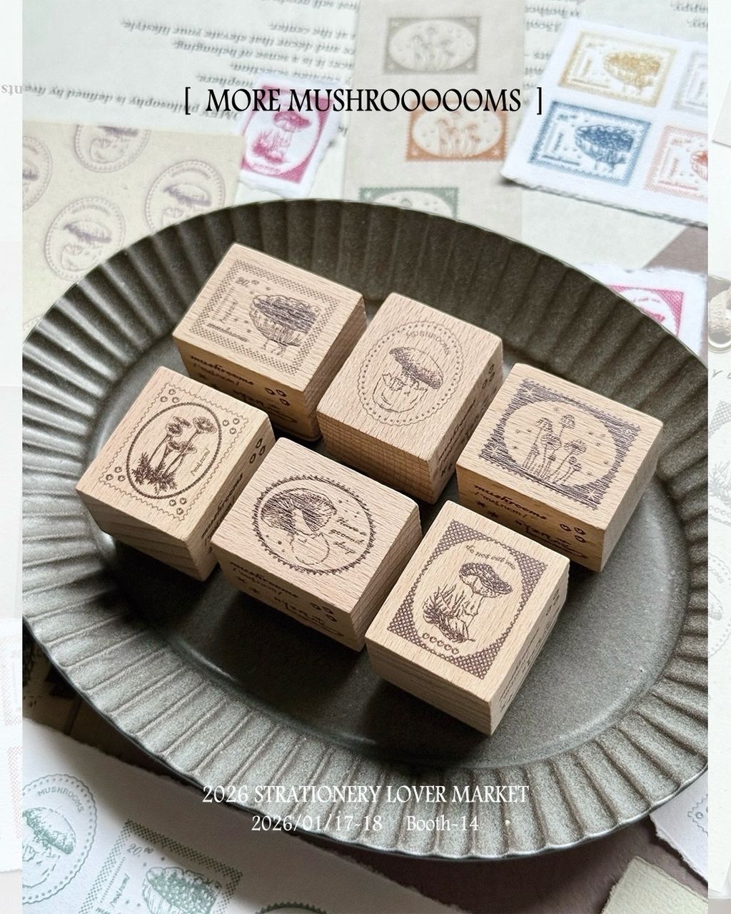 SaveClip.App_611242053_18108791017640780_5265166108597259394_n