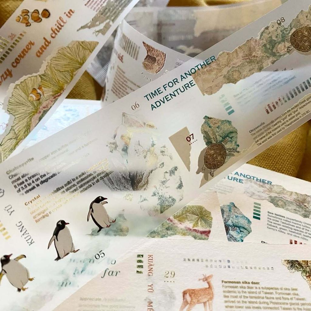 SaveClip.App_467397046_18068884129640780_5879348694416180431_n