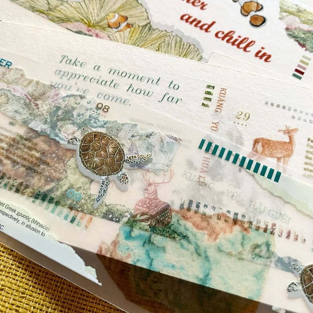 SaveClip.App_467745333_18068884471640780_451179093718281121_n