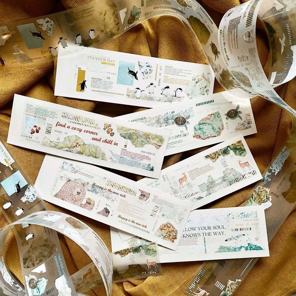 SaveClip.App_467351888_18068884378640780_4961490518422109965_n