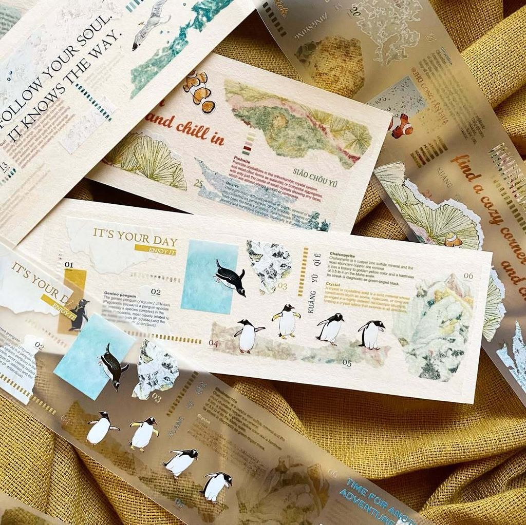 SaveClip.App_467401808_18068884456640780_3246606034077630464_n