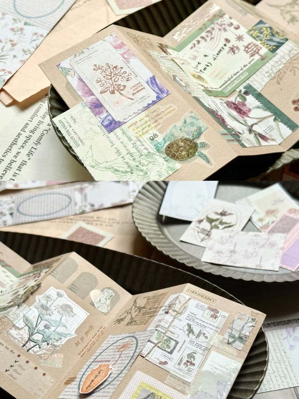 SaveClip.App_587304523_18106463587640780_3365197490260208046_n