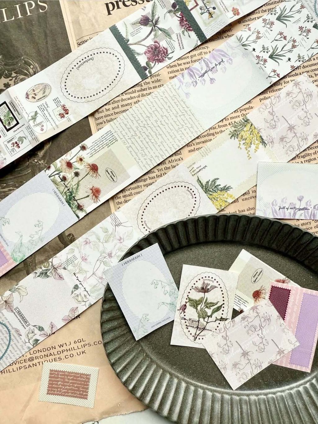 SaveClip.App_584388749_18106463548640780_8298351220445727011_n