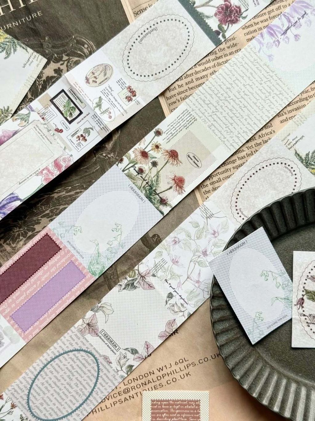 SaveClip.App_587286975_18106463578640780_4020057840408918424_n