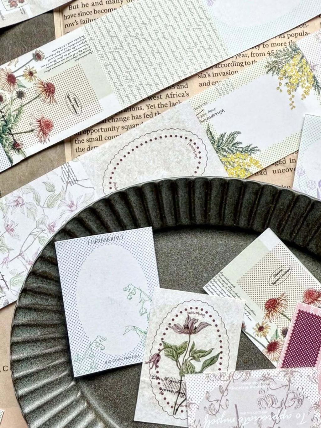 SaveClip.App_589944850_18106463605640780_9124620988797019991_n