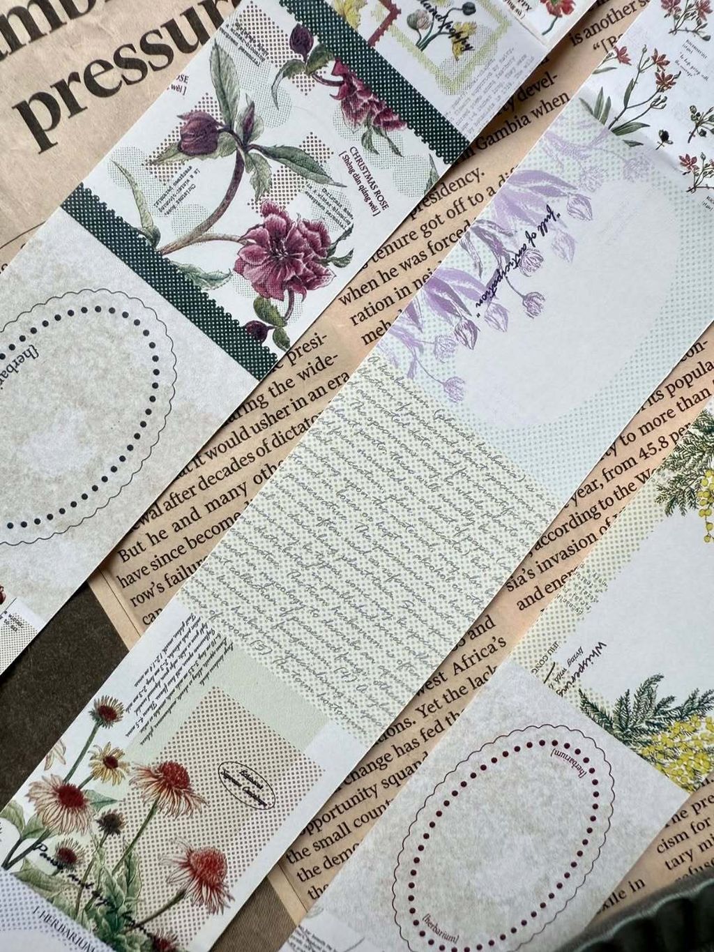 SaveClip.App_589011638_18106463533640780_5486071400820485588_n