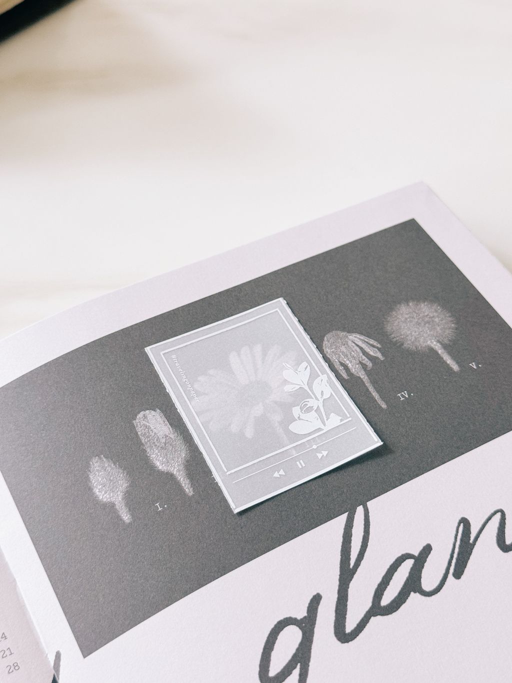 image_DEC6BBF5-56D7-4875-993B-37E6537EF0DA_1787565979