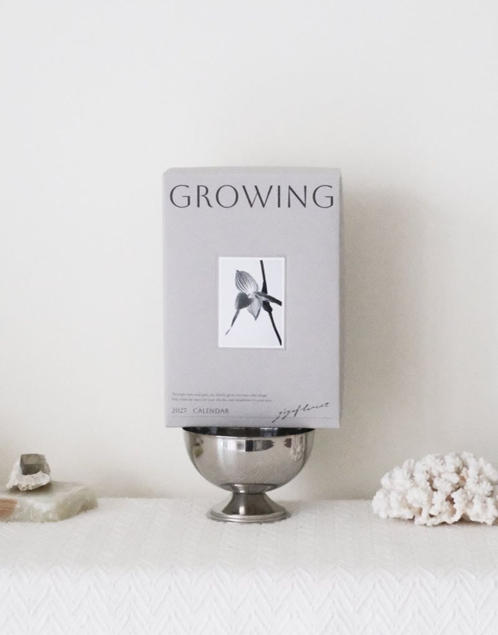 image_D1864219-0564-44DB-9735-5B1EB732D372_1791818273