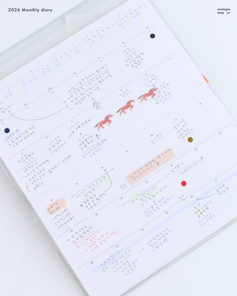 image_938756D7-66D0-4940-BDB4-4DF494AF5479_1763461511