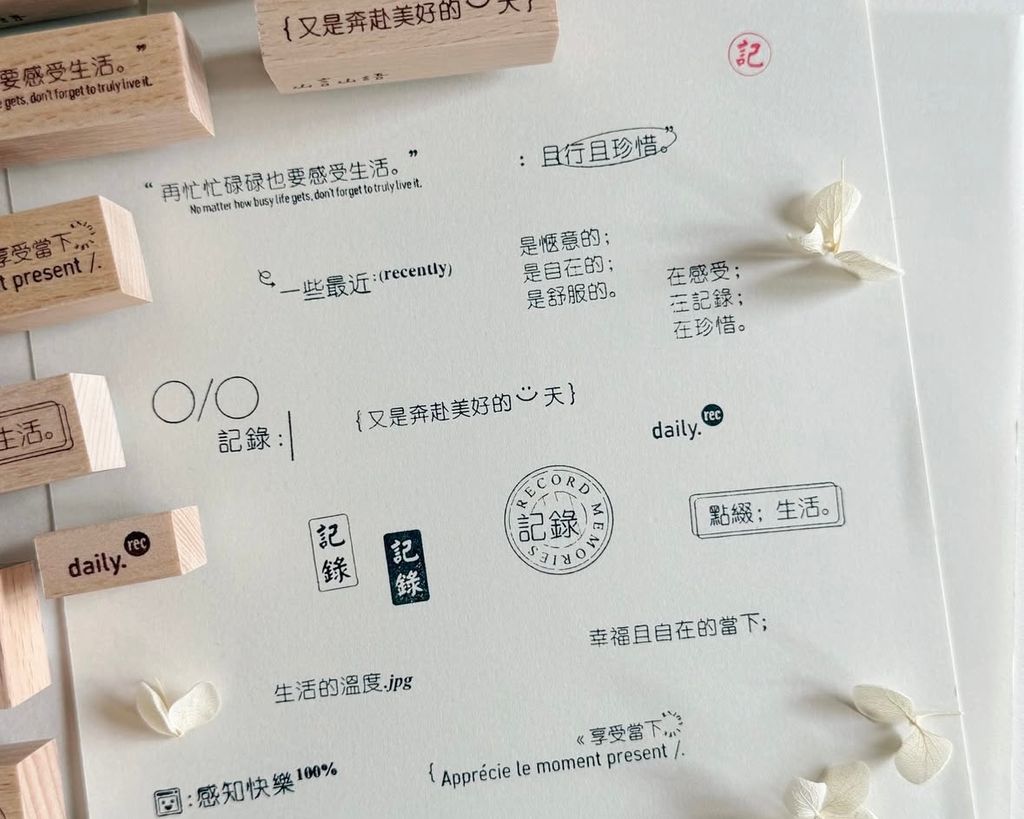 image_B9FC93A9-6DAD-480E-9F20-293F3B9904A0_1763534154