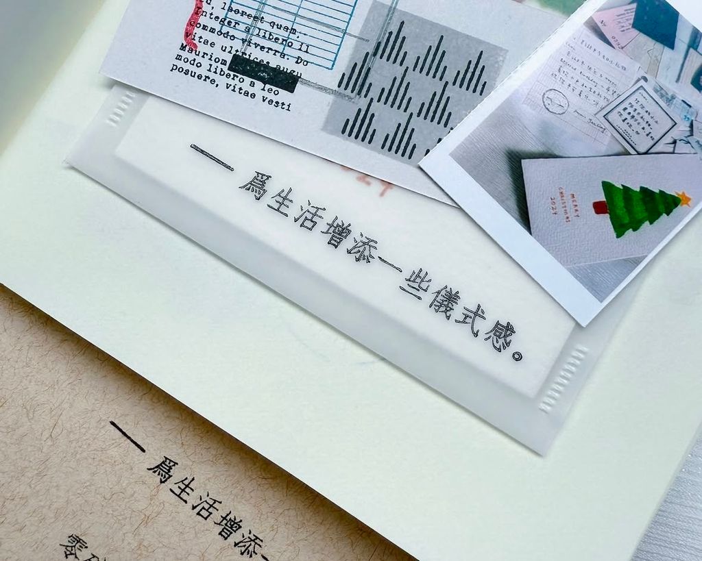 image_CB6C8A64-7B61-4849-AFC2-2B103A50FD3F_1763534659