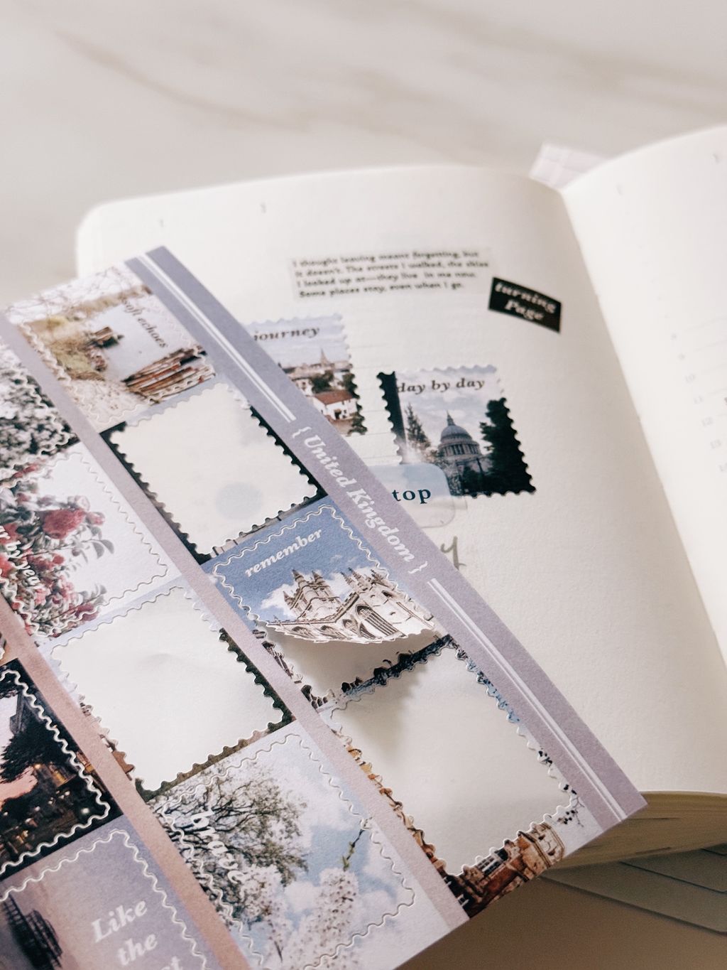 image_81BC1F66-BA94-471F-BB48-93409271B034_1763712008