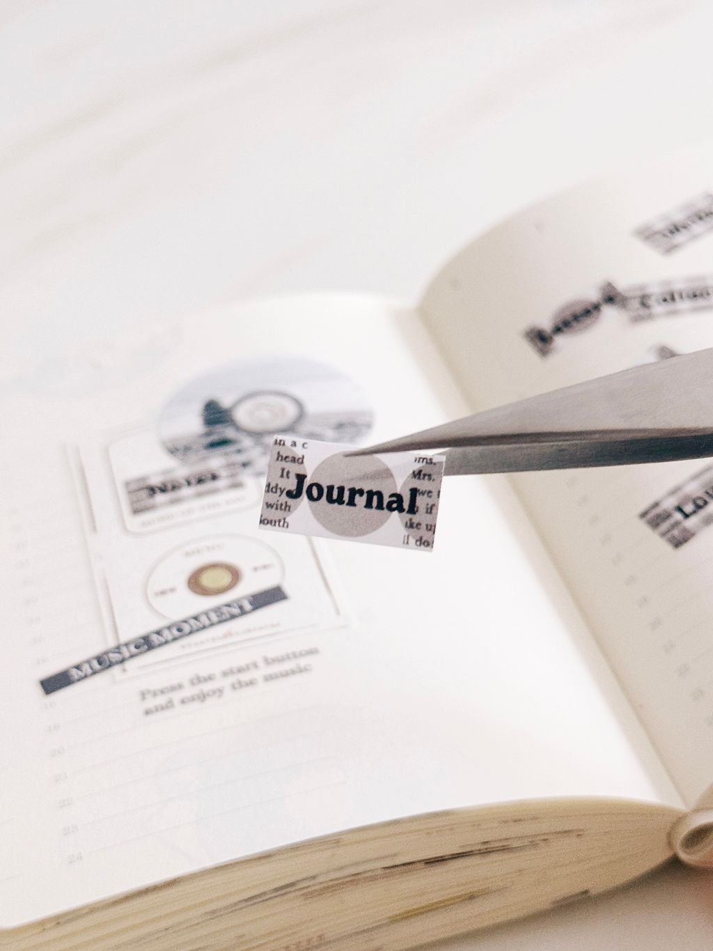 image_DE8D076F-3E90-4CCC-9163-A882C0619699_1763712320