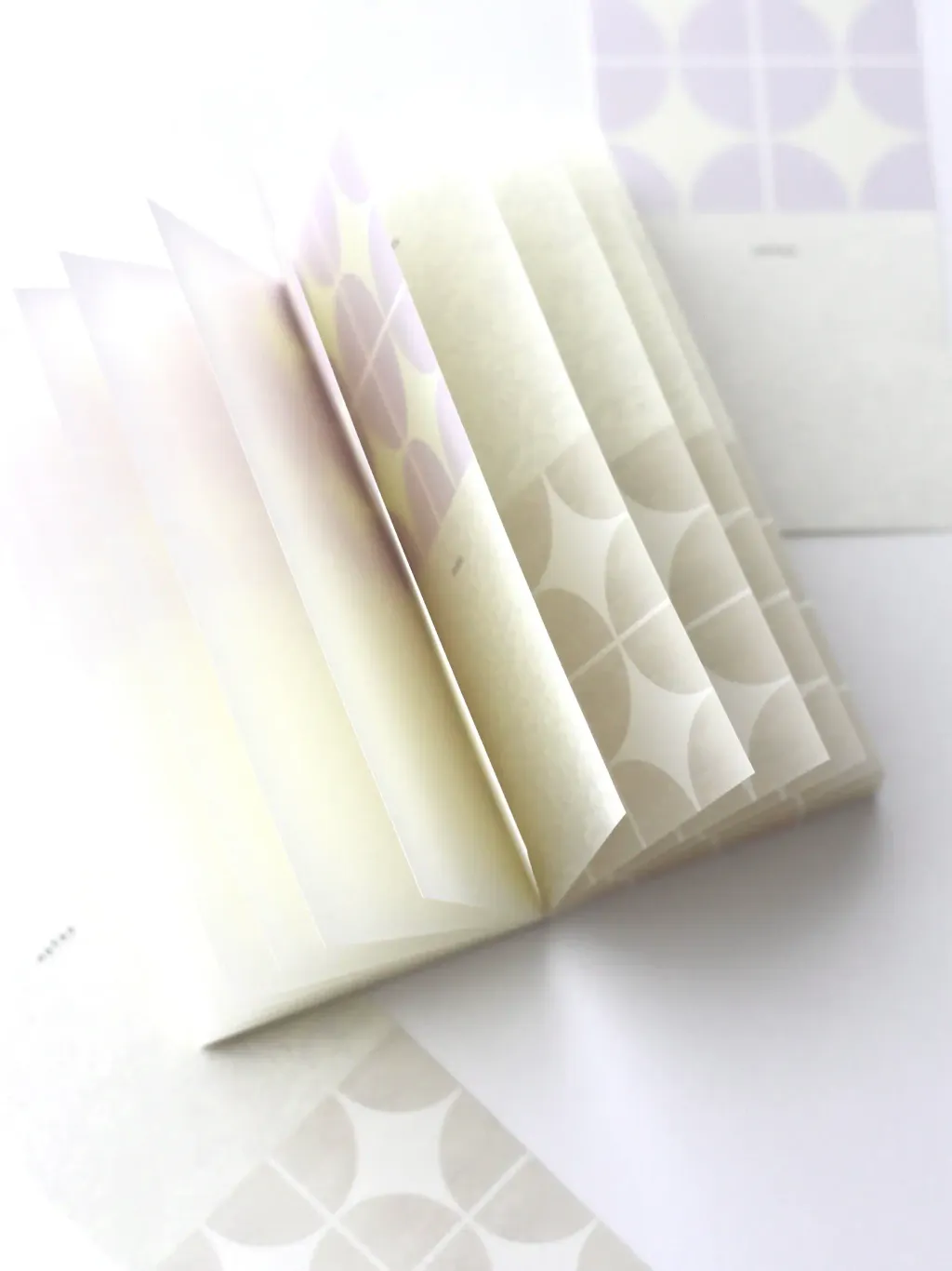 image_4AF44279-272E-4B92-A204-098FA489C6EE_1763737760