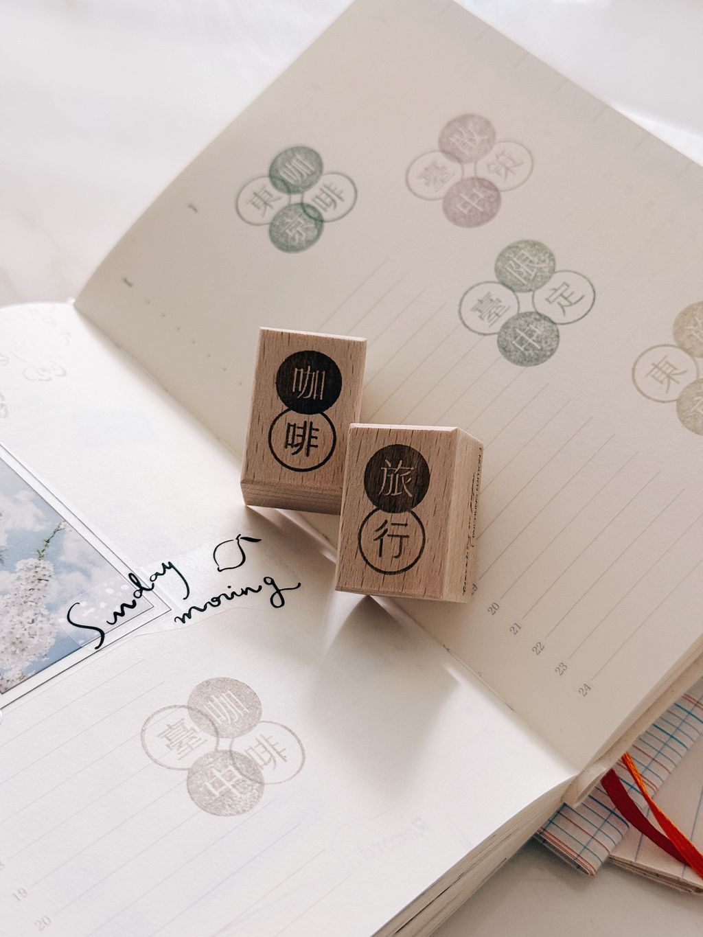 image_F6F78F8A-0E11-4B9A-AA70-3B099E3BB22C_1765290661