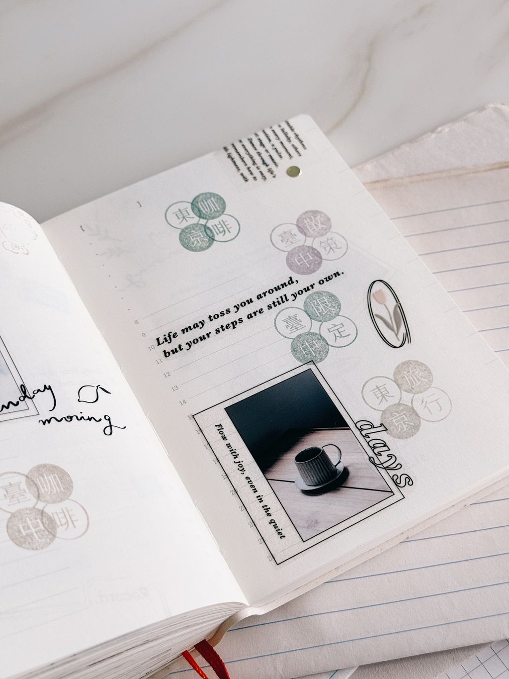 image_43F0D316-BBD7-46A5-BCD7-DB00885D7ECB_1765290787