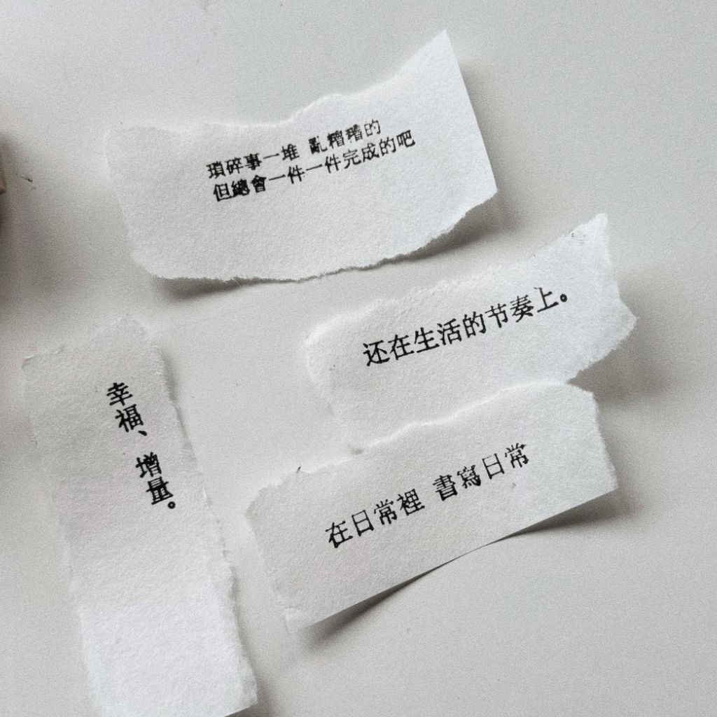 image_505BD03E-4348-4F15-8AFF-D45732C7FCD6_1768026472