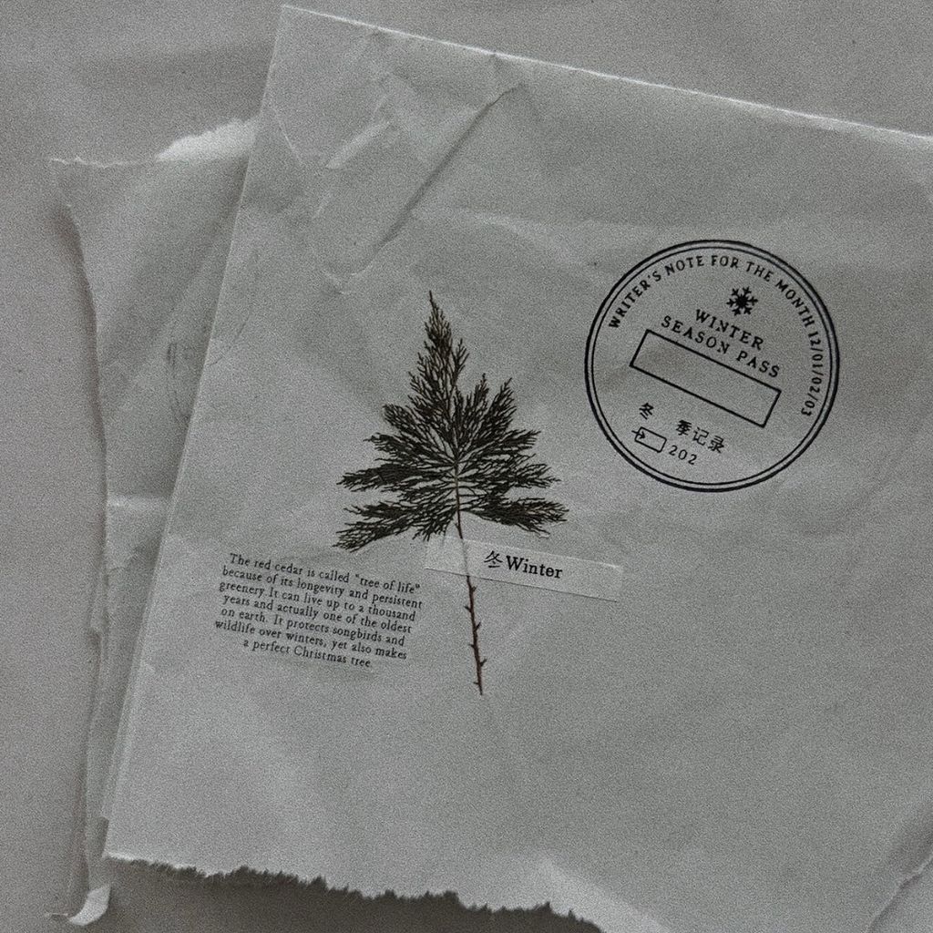 image_DDAE5AC5-698A-422D-BBFC-20F002F603C1_1768029364