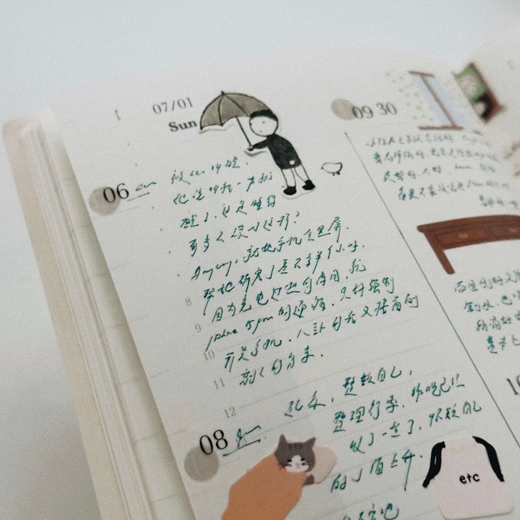 image_56FC19A1-C006-4DBC-B50C-8AA48D362BFE_1768030769