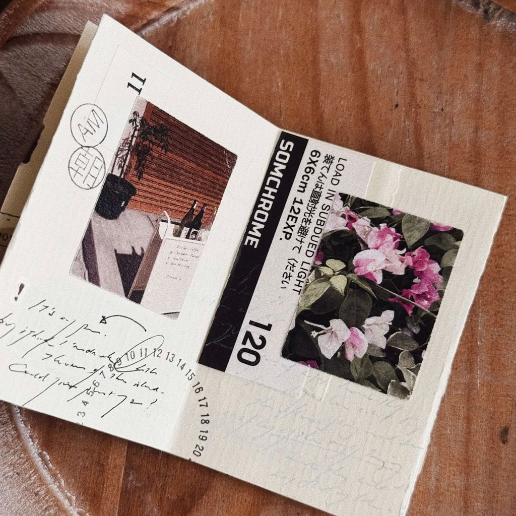 image_390E2853-BE0A-4BF5-9279-01744687A52C_1768031625