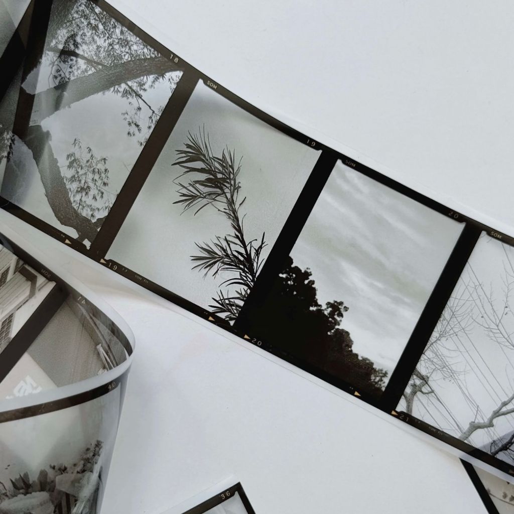 image_77E0B229-9B85-4E63-B485-8D88A6AFD11D_1768032583