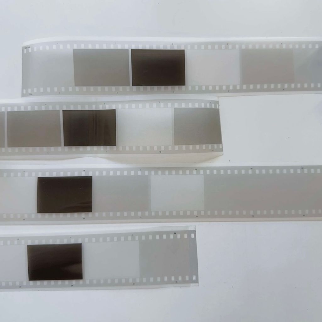 image_3A8CFB37-DE7A-4442-8217-5D4460E510DB_1768032846