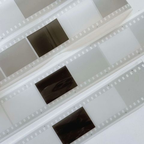 image_684B3834-027A-4EA5-BB3F-F3DA90D4A350_1768032846