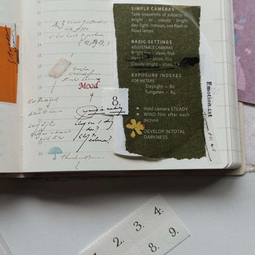 image_3891C22C-6005-4268-9823-9BECCC29F4EC_1768033246