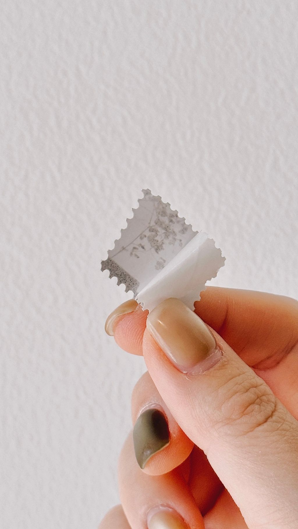 image_FD71A246-7EB2-4530-AC9A-4699FB7FFDC1_1768760887