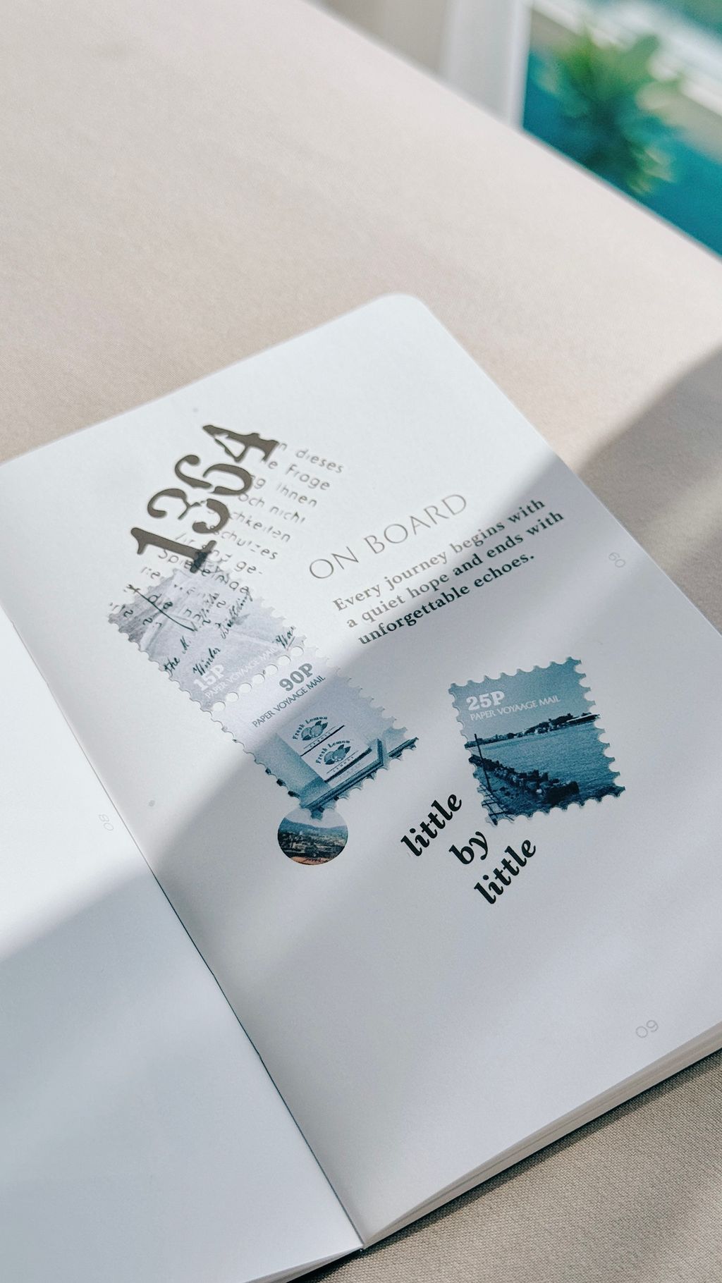 image_8F952B3D-1C39-4095-92D6-74638E5397B8_1768760887