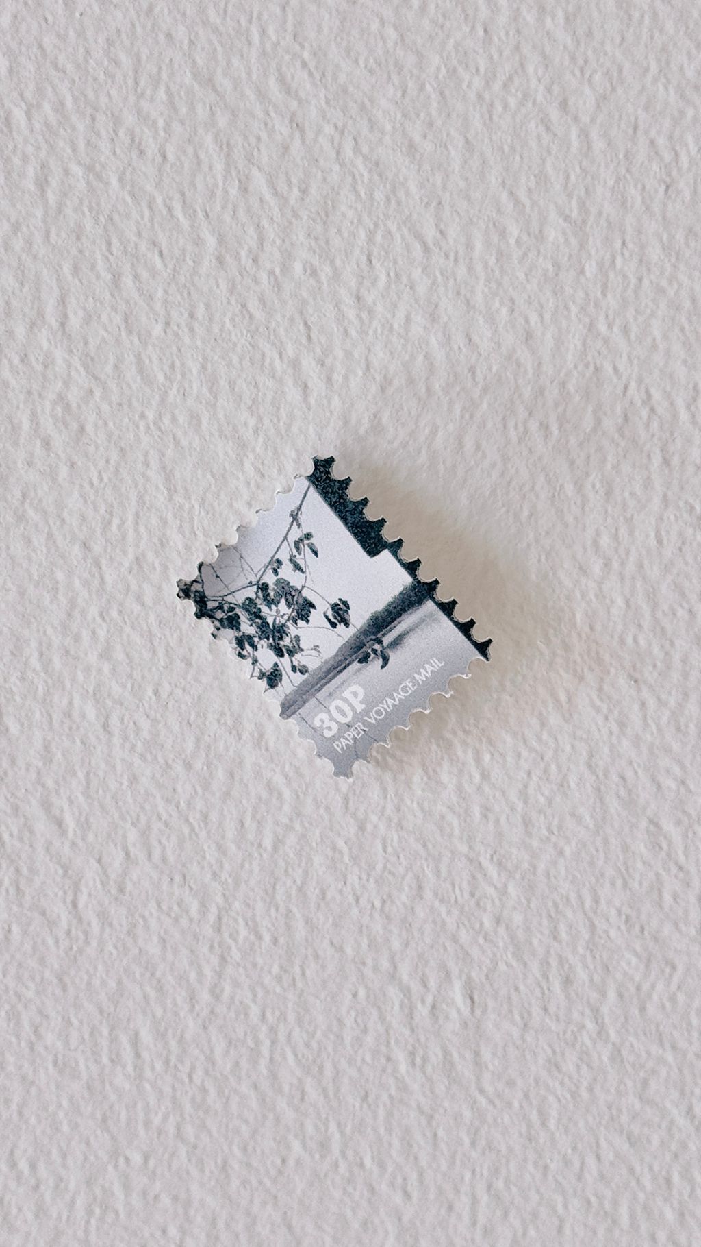 image_94779693-0CE6-4F36-AF43-708AAE40DA6F_1768760887