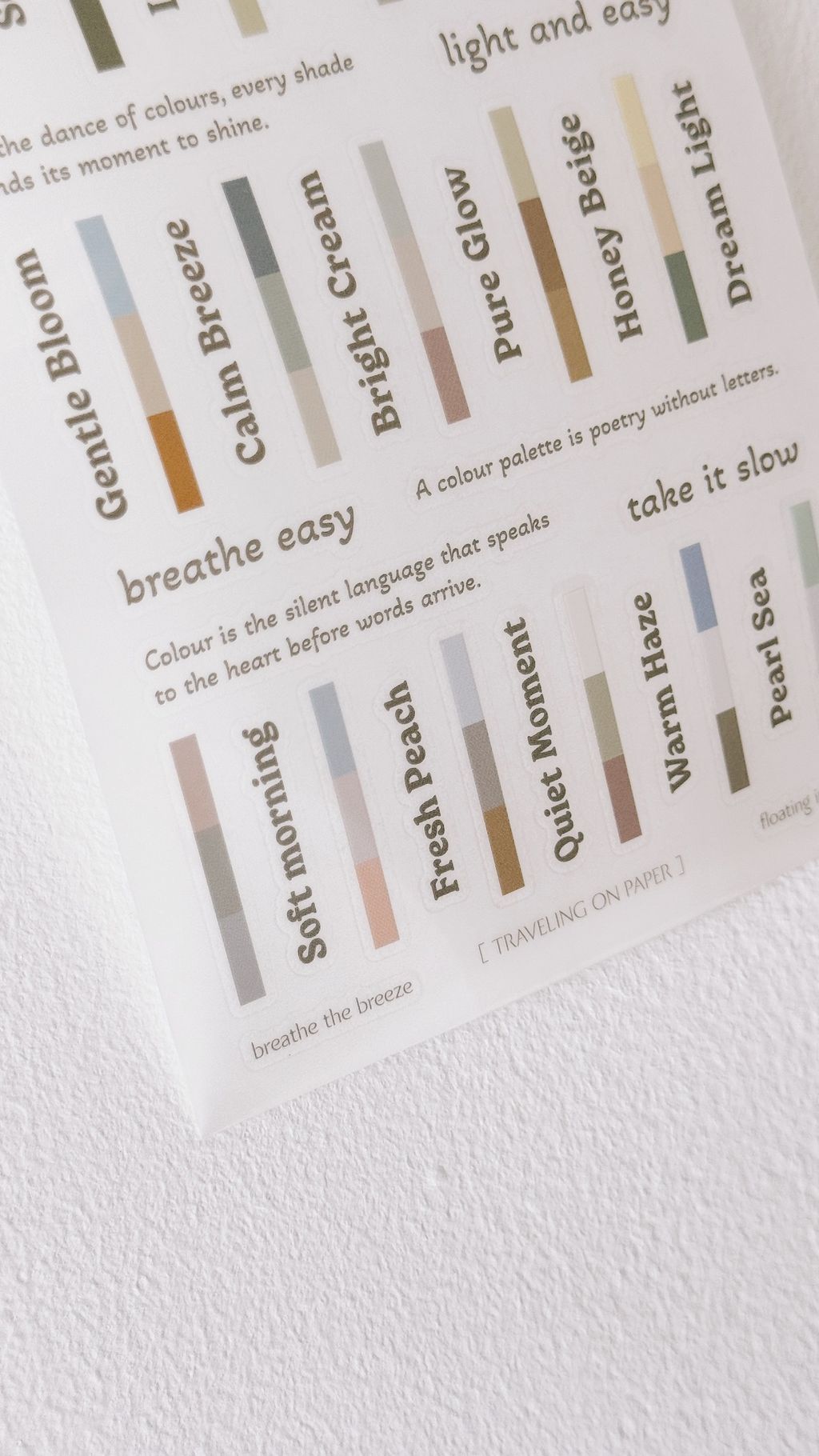 image_081A958E-9C9E-4A3D-ACA3-6E4B5AA15B52_1768761244