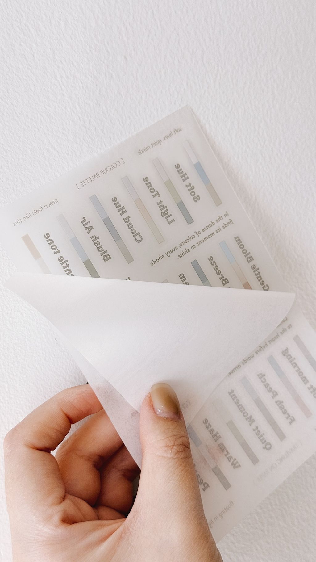 image_23A6D3B1-9014-40D6-A5DF-53670747518D_1768761244