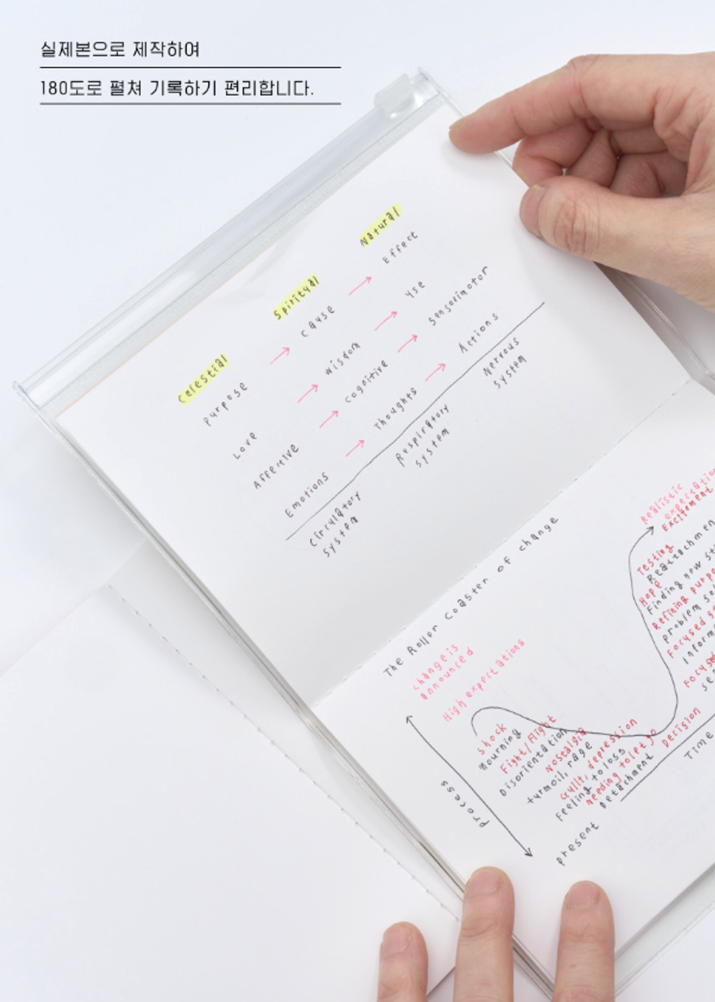 截圖 2026-01-21 下午2.06.23