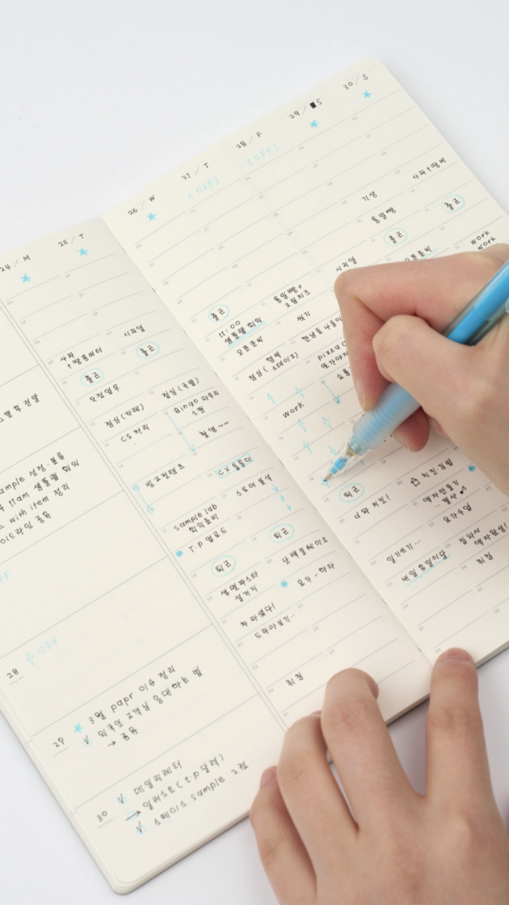 截圖 2026-01-21 下午3.03.31