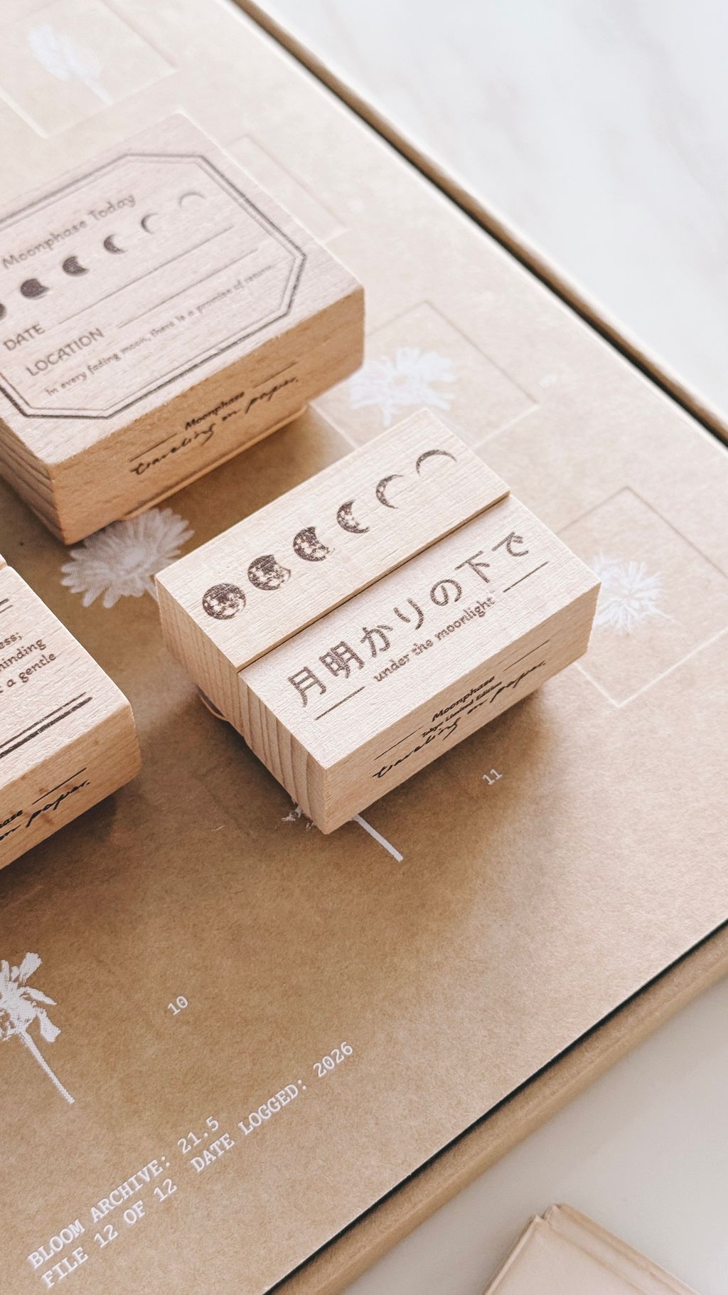 image_B0C4B3D0-7CEF-4CB0-AA49-643E162D757C_1772297042