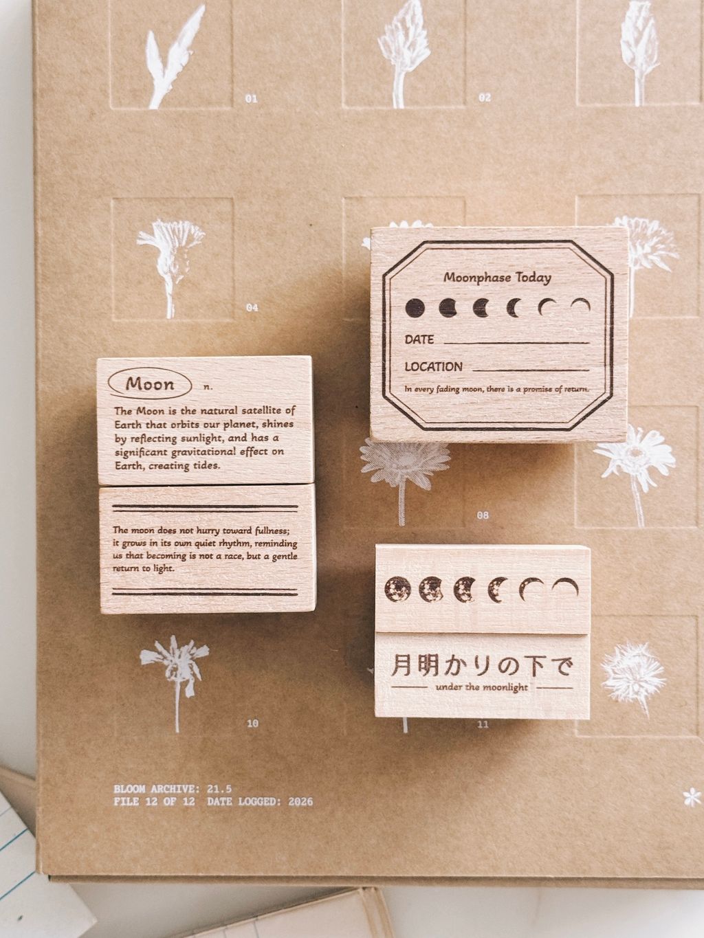 image_C74C7506-8BAE-4739-9898-6957E8E978B2_1772297042