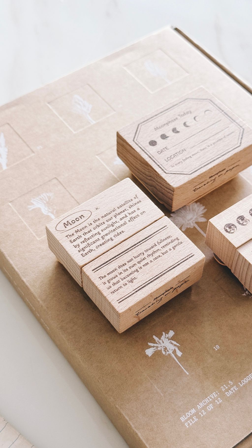 image_43172B1D-C65C-4192-86D6-2930CF4C511E_1772297042