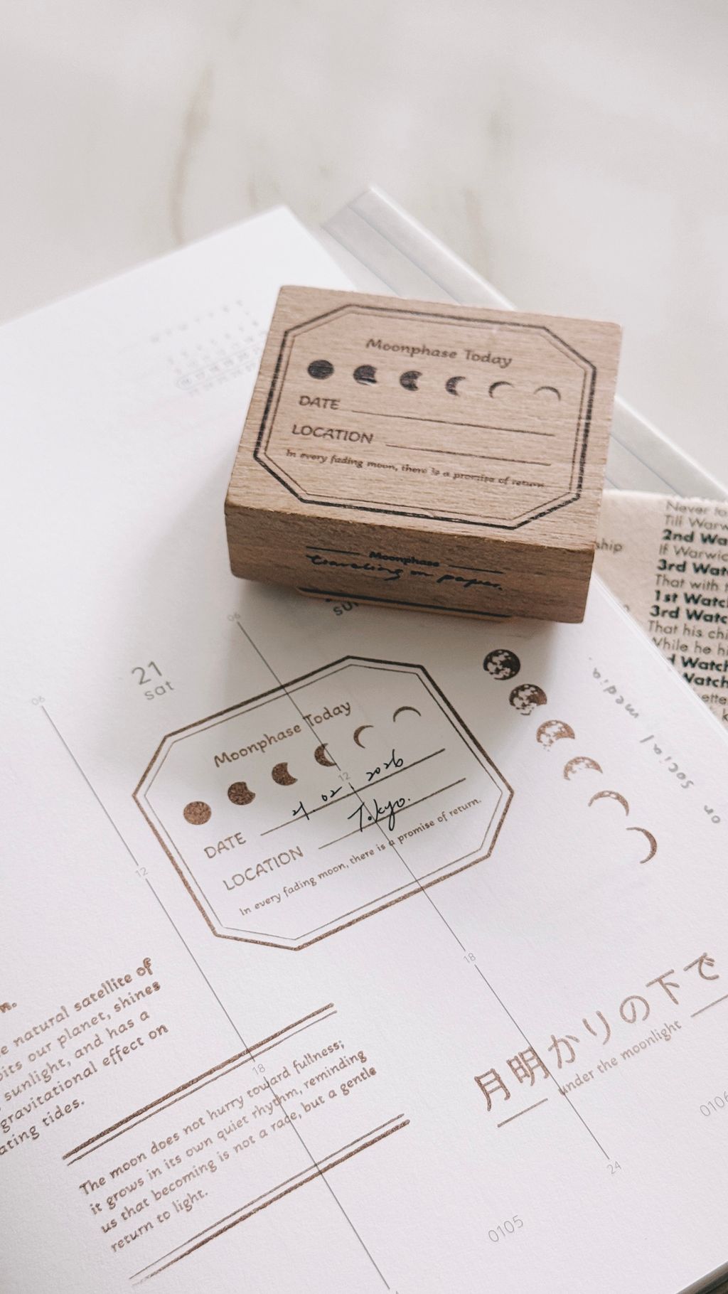 image_57F8ECBA-B881-4644-B869-05386CE87F5A_1772297042