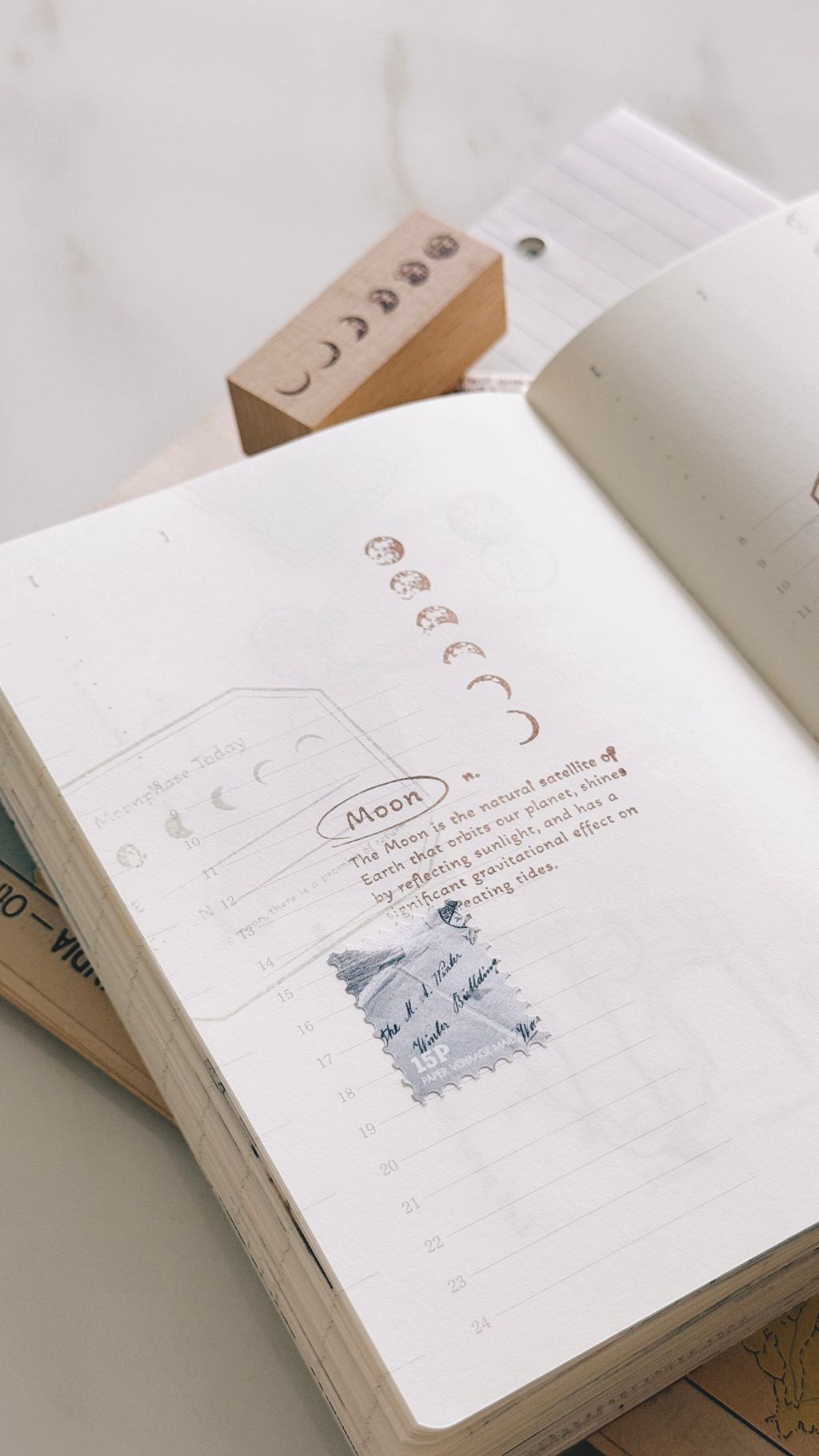 image_E949B3E3-9CE3-430A-8C34-0F865A03A56B_1772297042