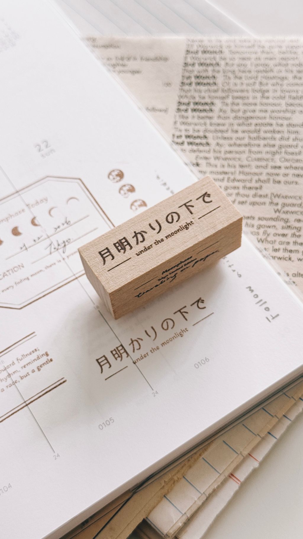 image_F73E38B3-7699-492F-8E9D-2A86B458904D_1772297042