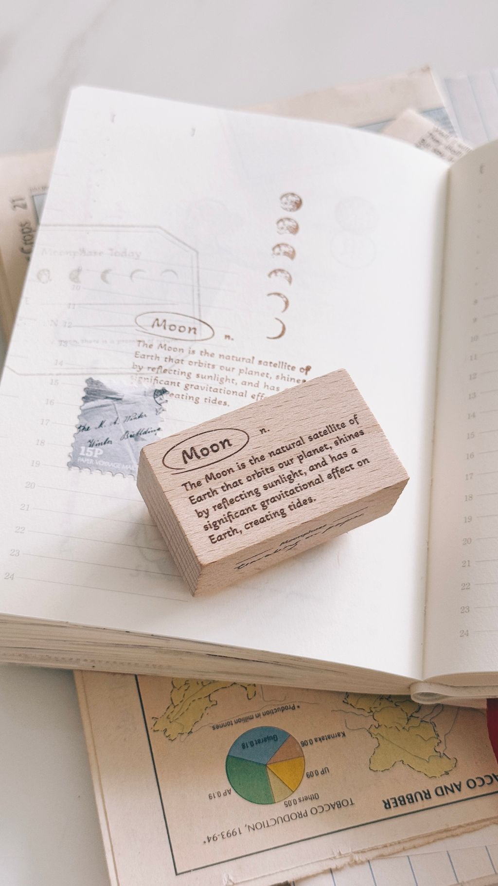 image_1ADB3CF5-20CE-4932-85EE-7C7AA4FAC0A4_1772297042