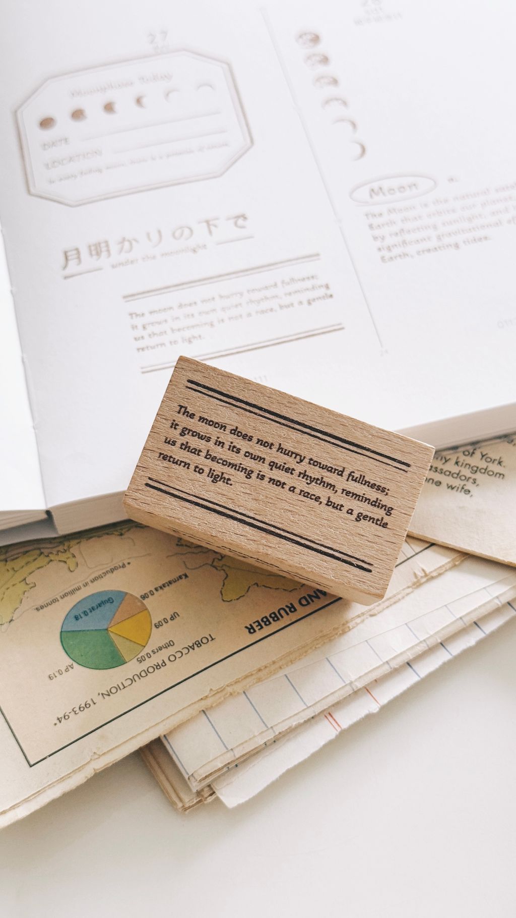 image_9459D8EF-37F3-46AD-A380-1A02D801577A_1772297152