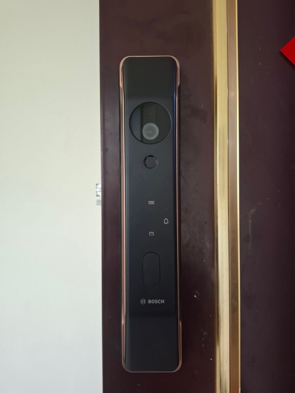 101341138-1774944176311