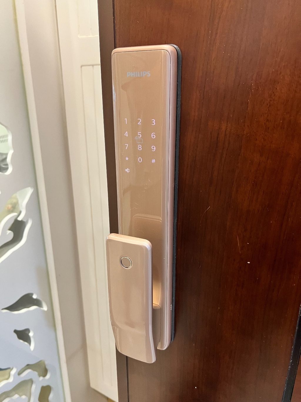 82908654-1668413232498