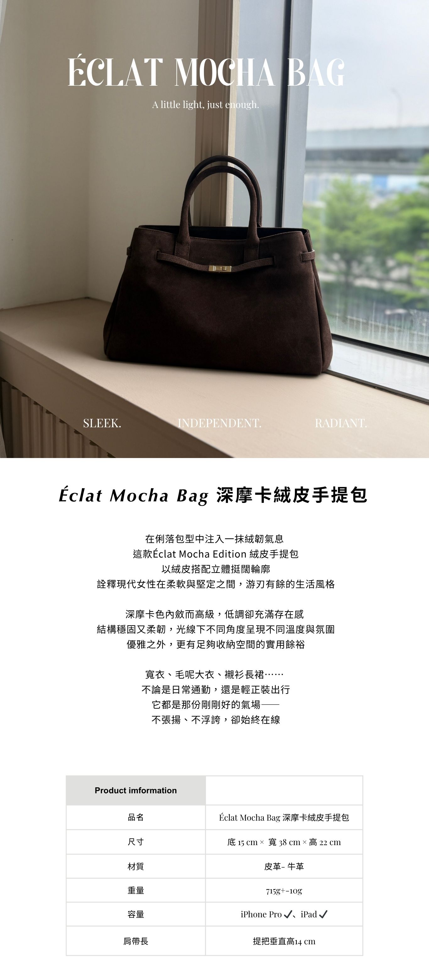 整頁 麂皮手提包 Bag