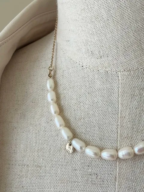 image_1C60716B-10A8-4AE8-88D9-2B083E7BF01D_1762420905